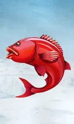 Ice Fishing