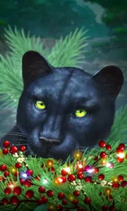 Blue Panther -CE